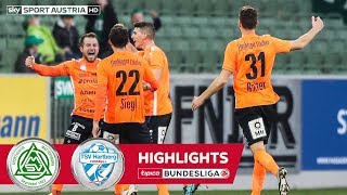 Highlights tipico Bundesliga 14 Runde SV Mattersburg  TSV Hartberg 12 [upl. by Giliana]