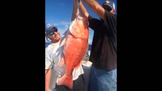 Amicks Deep Sea Fishing 2014 Review [upl. by Kenney304]