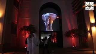 Best of The Dubai Festival of Lights 2014 [upl. by Barrow]