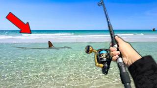 Fishing the Most SHARK INFESTED Beach in the World Surprise Catch [upl. by Haliled]