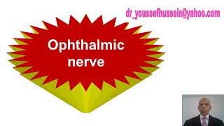 Ophthalmic Nerve [upl. by Concordia697]