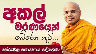 අකල් මරණයෙන් බේරෙන හැටි සේරුවිල පොහොය දේශනාව  Ven Aludeniye Subodhi Thero [upl. by Aleakcim974]