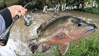 Fishing for Mangrove Jack amp Barramundi in the Freshwater Runoff [upl. by Ranite]