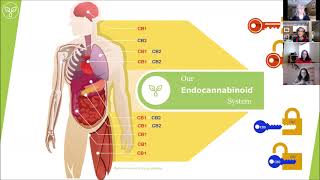 Medical Cannabis and Neuropathic Pain with Harvest Medicine [upl. by Eixela]