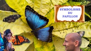 SYMBOLISME DU PAPILLON [upl. by Patience]