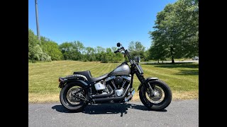 2008 HarleyDavidson Softail Crossbones Cross Bones Springer Custom Paint FLSTSB w Extras 13995 [upl. by Ettennaej]