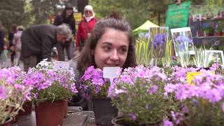 Flora Olomouc 2019  jarní etapa [upl. by Chaffin]