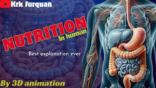 nutrition in human being  what happens to the food after eating  best 3D animation  class 10 [upl. by Annahoj264]