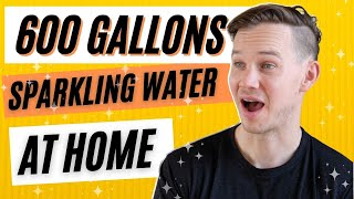 How to Make Carbonated Sparkling Seltzer Water at Home [upl. by Rubinstein]