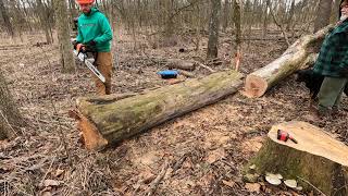 NEOTEC NS 892 powering Alaskan chainsaw mill [upl. by Ellissa469]