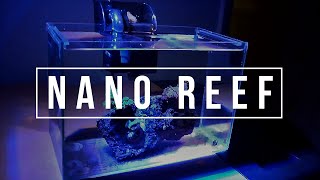 UPGRADING MY 3 GALLON NANO REEF AQUARIUM  Tank Setup [upl. by Wilsey325]