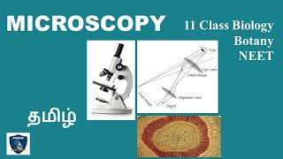 Microscopy in Tamil  Cell  The Unit of Life I Botany I Class 11  TNSCERTCBSE  NEET [upl. by Mace]