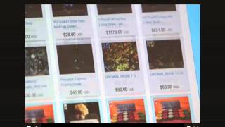 Buying illegal drugs on the Silk Road  as featured on Channel 4 News [upl. by Symer135]