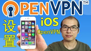 🚀OpenVPN设置教程 在iPhone🍎苹果手机📱中设置和使用OpenVPN [upl. by Sheldon]