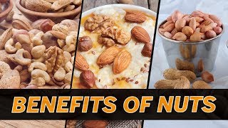 Health Benefits of Nuts  Different Types of Nuts amp their Benefits  Femina Wellness [upl. by Starling385]