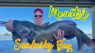 Sandusky Bay MonsterChannel Cats [upl. by Eivlys]