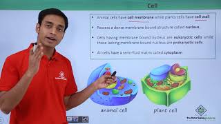 Class 11th  Cell – Overview  Cell The unit of Life  Tutorials Point [upl. by Karolyn]