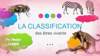 La classification des animaux 1AC partie 1 [upl. by Rebm525]