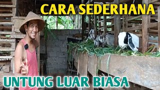 Terasa Sangat Nyaman Ternak Kambing Dengan Dukungan Bank Pakan [upl. by Ratna]