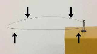 Standing Waves on a Ring Demo [upl. by Claud716]