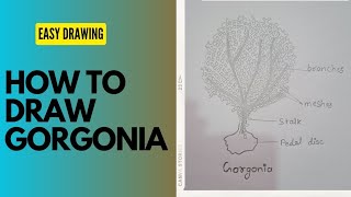 how to draw gorgonia diagram।। easy gorgonia diagram।। आसानी से gorgonia बनाना सीखे।। [upl. by Royall]