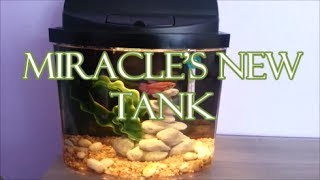 Miracles New Aqueon Mini Bow Aquarium [upl. by Anauj323]