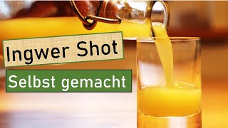 Ingwer Shot ganz leicht selber machen 😋 Immunsystem stärken 💪 Fit durch den Winter 💚 Saatenvielfalt [upl. by Porett63]