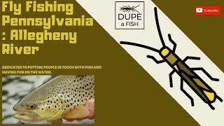 Fly Fishing Pennsylvania Allegheny River [upl. by Aicsila]