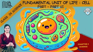 Part 6  Last Part  Cell Division simplified  CBSE 9th  Chapter 5 [upl. by Dygall]