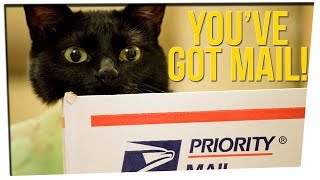 Cat Hair Solves Case of Mysterious Package Sent to the President ft DavidSoComedy [upl. by Bunns]