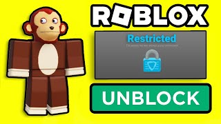 Best School Unblockers For ROBLOX 2024 [upl. by Jeth]