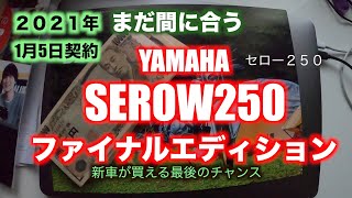 【2021まだ間に合う新車セロー】20年ぶりリターンライダー中年バイクを買う。YAMAHA SEROW 250 FINAL EDITION [upl. by Lula]