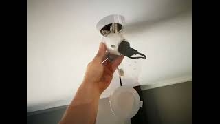 LED Downlight installation and replacement [upl. by Aned]