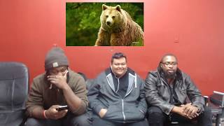 The Real Sht Talkers react to 10 Unedited Minutes of Bear Footage [upl. by Erland]