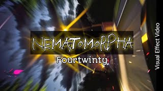 Nematomorpha  fourtwnty  Visual effect video [upl. by Severin]