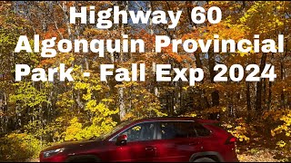 Canada Fall Experience  Algonquin Provincial Park [upl. by Eijneb]