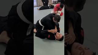 BJJ Cross Collar Choke from Mount [upl. by Rehoptsirhc235]