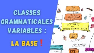 CLASSES GRAMMATICALES VARIABLES ou natures  révisez vos basiques [upl. by Crary460]