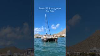 Prout 37 Snowgoose Sailing Catamaran for Sale [upl. by Fennie]