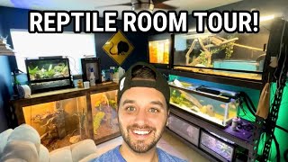 REPTILE ROOM TOUR  September 2023 [upl. by Htiderem]