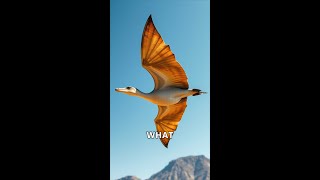 The Amazing World of Pterosaurs [upl. by Frans]