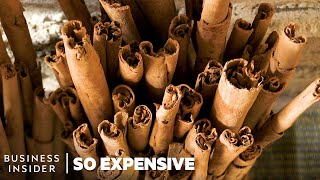 Why Ceylon Cinnamon Is So Expensive  So Expensive [upl. by Arihay]