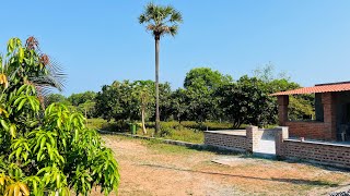 SOLD OUT Pondicherry Auroville Farmland Sale 4578 Sqft Empty Land Gededcommunity [upl. by Montagna]