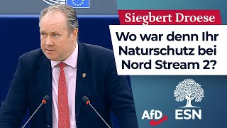 Wo war Ihr Umweltschutz bei der Sprengung von Nord Stream 2 – Siegbert Droese AfD [upl. by Lilly]