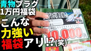 内容攻めすぎ！ガチ勢が作った1万円青物プラグ福袋の中身が、ゴリゴリすぎて上腕が太くなった。 [upl. by Nakre]