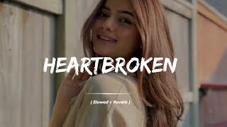 Naseebo lal New song  HEARTBROKEN  slow reverb [upl. by Ruhl]