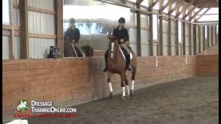 Dressage Training with Dr Ulf Moller Stopping your horse from leaning on the bit [upl. by Magdalen]