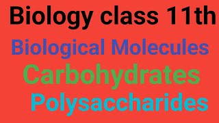 Polysaccharides Lecture 3 GlycogenStarch Cellulose Chitin and Iodine Test for polysaccharides [upl. by Christmas]