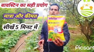 Bavistin fungiside uses। फैंगिसाइड का प्रयोग कैसे करें। फैंजिसाइड की सही मात्रा की जानकारी । [upl. by Mot]