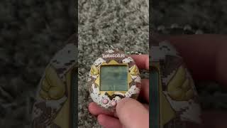 Angelo The Tamatchi Angel  New Tamagotchi Gameplay tamagotchi [upl. by Thierry]